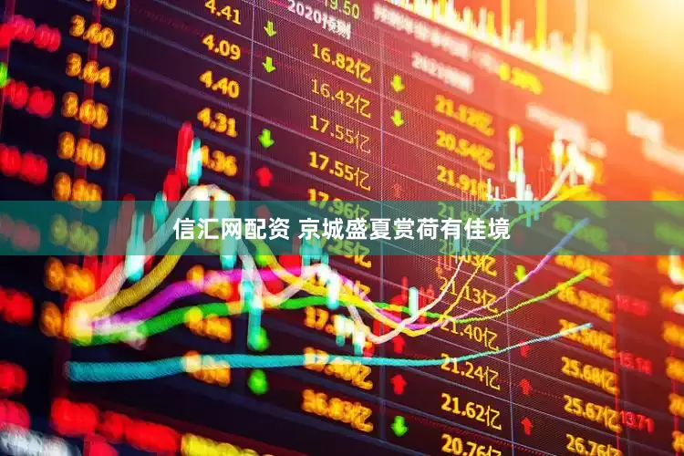 信汇网配资 京城盛夏赏荷有佳境
